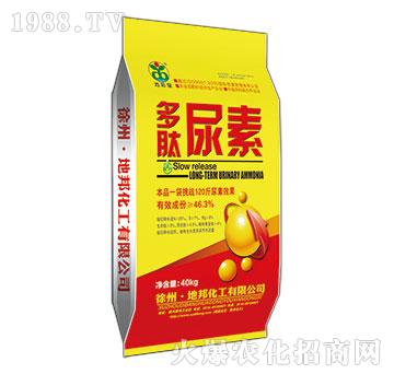 ��������-�ذ�Ȫ