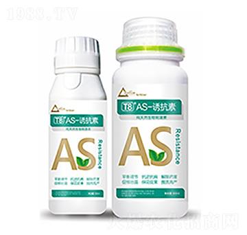 T8��AS-�T����-��ԣ�Ƽ�