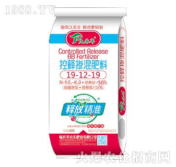 ��ጓ������19-12-19-�ú��S-���r(n��ng)��(l��)