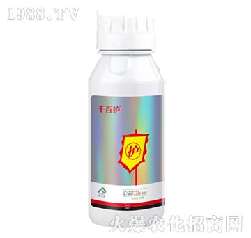 22%���ѡ��������x(ch��ng)-ǧ���o(h��)-�����r(n��ng)