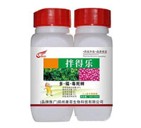 25%�ࡤ����������