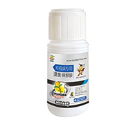 ̿�Ҳ�����-��������r��