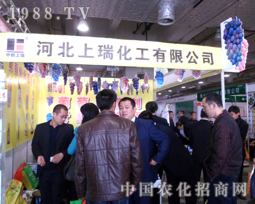 ���𻯹����r(n��ng)�I(y��)���������(j��)��ֲ����(hu��)