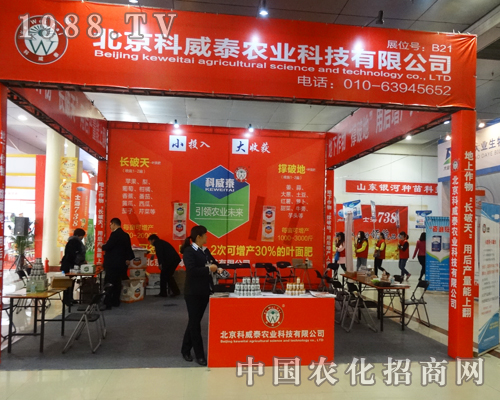 ����̩��2015ɽ�|ʡ�ʝ��r�Y��ጷ�����ğ���