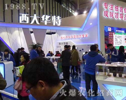 ��������A����2016�Ͼ�ȫ��ֲ����������