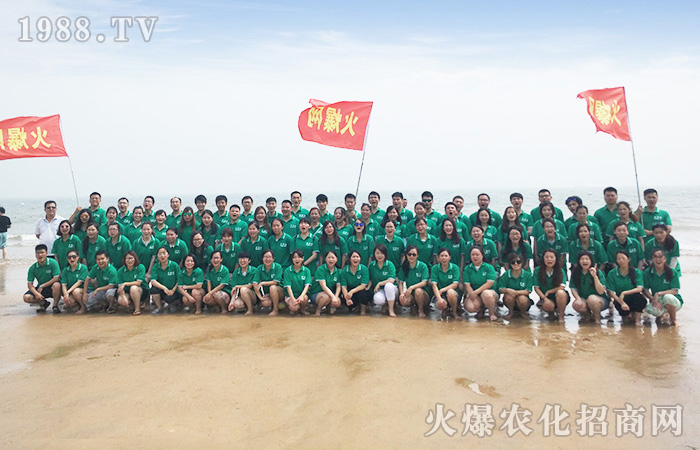 ����֮��  �̺��{��