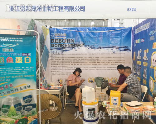 �°�������������r(n��ng)�Y����������