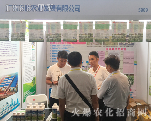 �V�|�f���r�I(y��)¡�؅���2017�������r�Y��