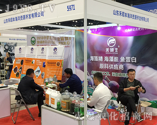 ɽ�|�̴T�S�ʘI(y��)�ڵ�ʮ���ÏV���ό��r(n��ng)�Y��(hu��)�ϲ�������