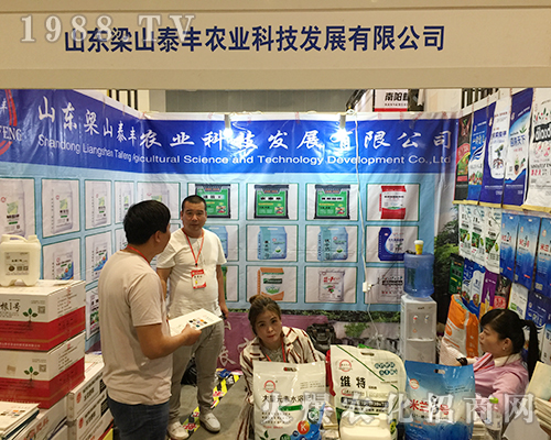 ɽ�|��ɽ̩�S�ڵ�ʮ�����ό��r(n��ng)������Ź�â