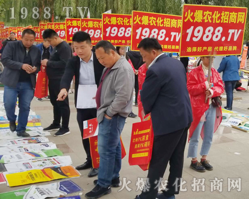     2018ɽ�|��(j��)��ֲ�����ו�(hu��)�����r(n��ng)���W(w��ng)����ֱǰ��