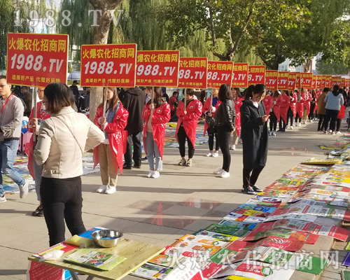     1988.TV���r(n��ng)�����̾W(w��ng)2018��(j��)��ֲ����(hu��)��(d��)���L(f��ng)�ɣ�