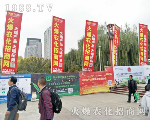 2018ɽ�|ֲ���p����(hu��)�������r(n��ng)���W(w��ng)ȫ���������̹���