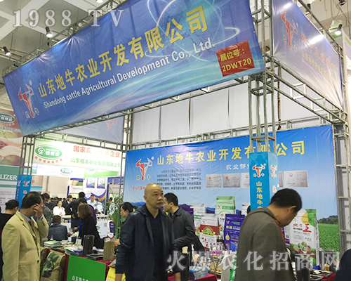 ɽ�|��ţ�r(n��ng)�I(y��)��2018ɽ�|ֲ�����ו����̳ɹ�