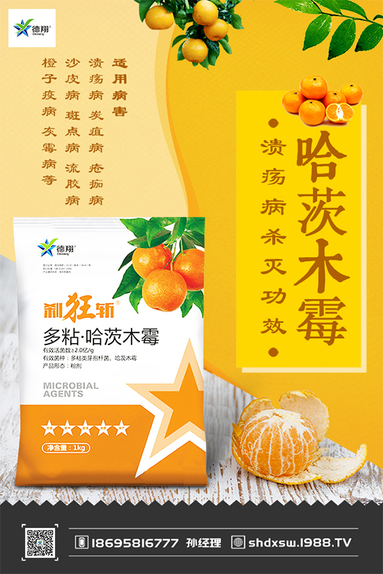 甘藍(lán)黑斑病危害這么大,到底該如何防治?快來看看吧!