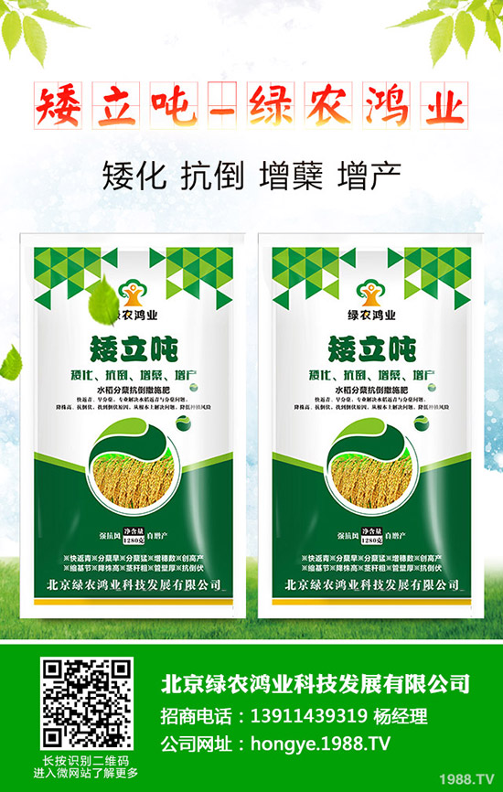 蒜苗的種植方法有哪些，如何才能獲得高產(chǎn)？