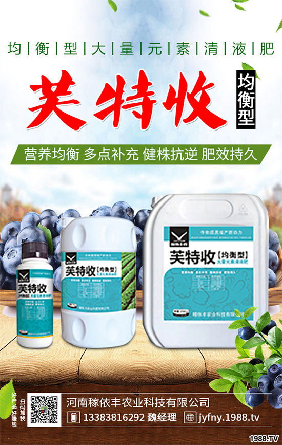 陽臺上能種植上海青嗎？該注意什么？陽臺上種植上海青的注意事項