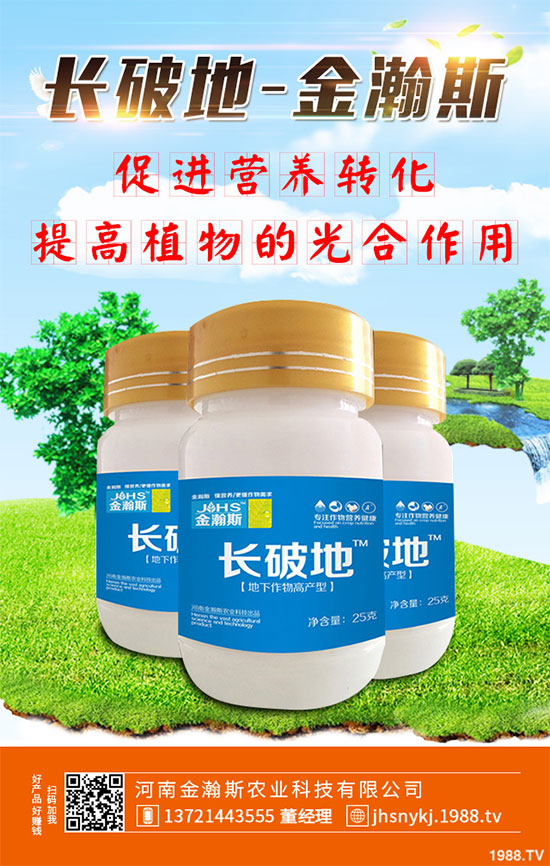 十月份蔬菜該怎么管理？2019年10月蔬菜種植管理指南