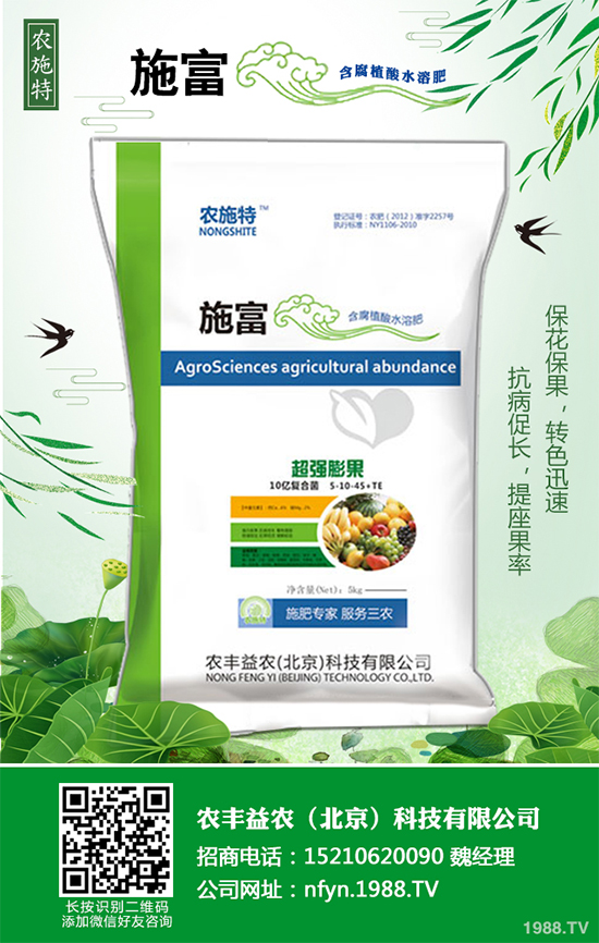 香蔥該如何栽培？秋茬香蔥高產(chǎn)技術(shù)要點(diǎn)