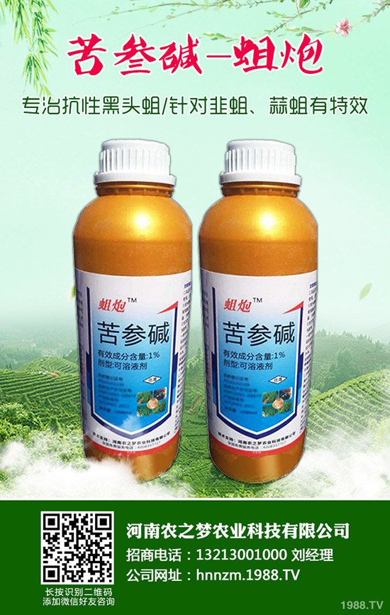 益母草的功效與作用，益母草的使用禁忌！