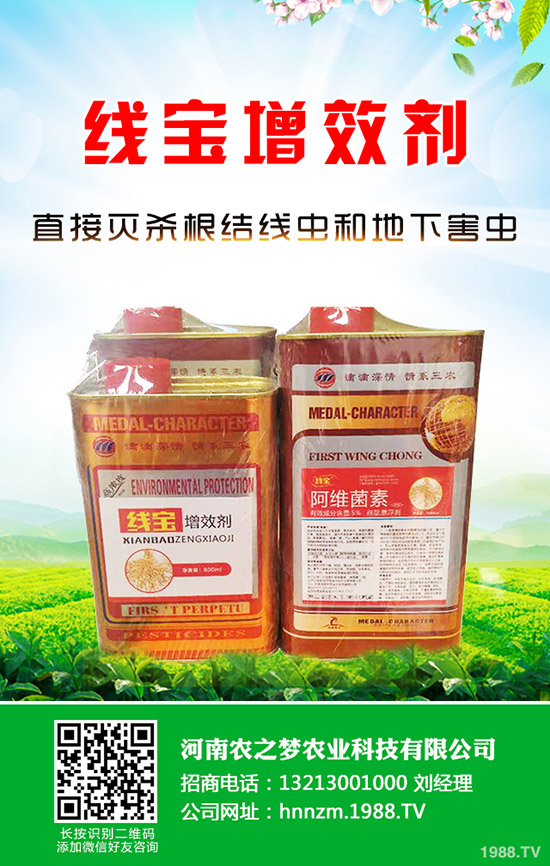 芹菜發(fā)芽慢如何解決？芹菜的催芽小技巧！