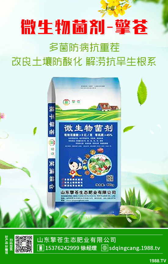     尿素價(jià)格連續(xù)下跌！近期尿素行情走勢分析2019-10-17