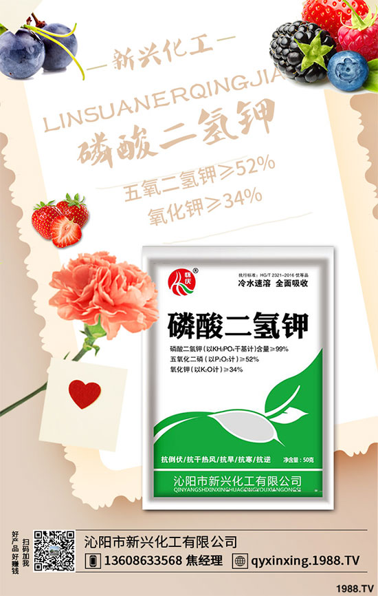 香蔥連作危害大，到底該如何解決？香蔥連作障礙及高產(chǎn)管理技術！