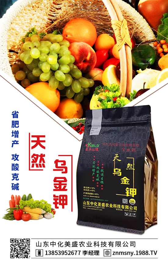 芹菜為什么會出現(xiàn)空心？芹菜空心的防治措施！