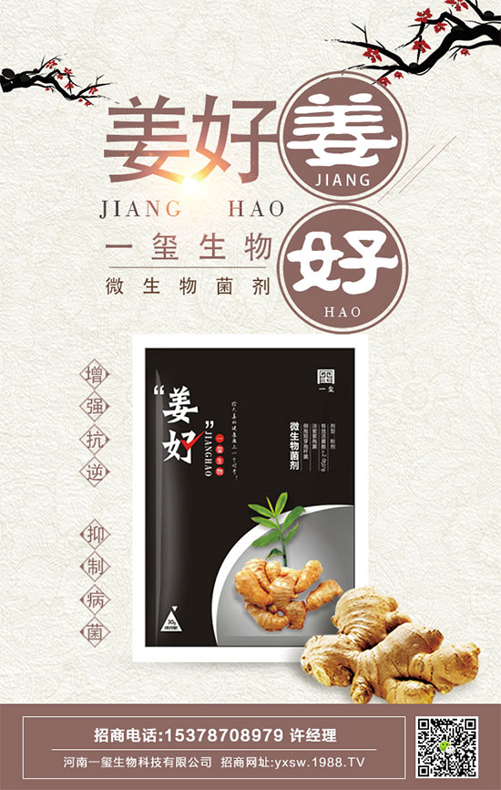 茄子的功效與作用，茄子的營養(yǎng)價值