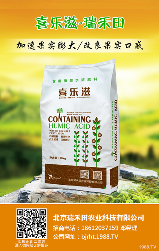 冬棗什么時間種植，冬棗高產(chǎn)管理技術(shù)！