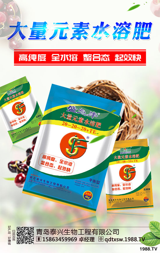 白菜根腐病有哪些危害癥狀？該如何防治？白菜根腫病的識別與防治！