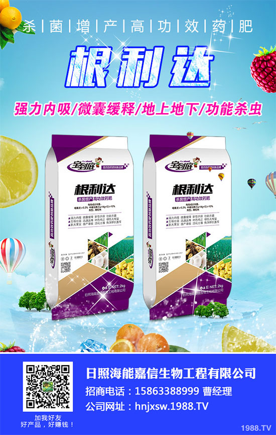 白菜根腐病有哪些危害癥狀？該如何防治？白菜根腫病的識別與防治！