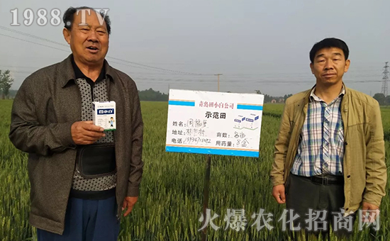 節(jié)節(jié)麥如何防除，用什么藥？