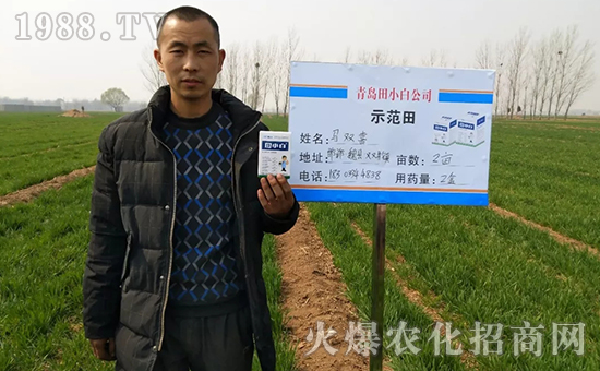 節(jié)節(jié)麥如何防除，用什么藥？