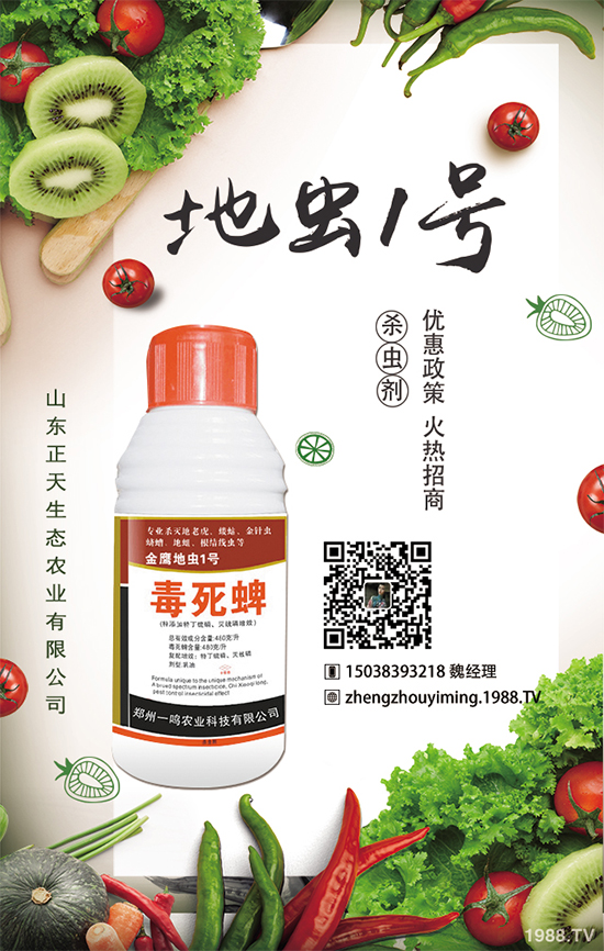 櫻桃蘿卜如何種植，櫻桃蘿卜需要注意什么？