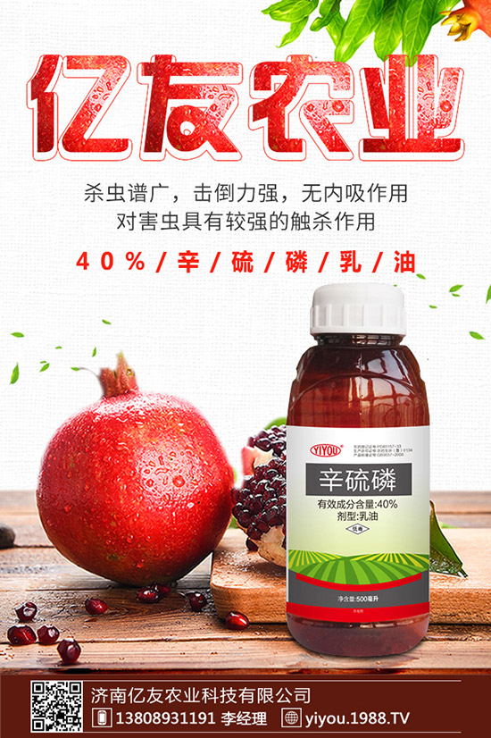 臘梅種子怎么種，臘梅種子種植方法！