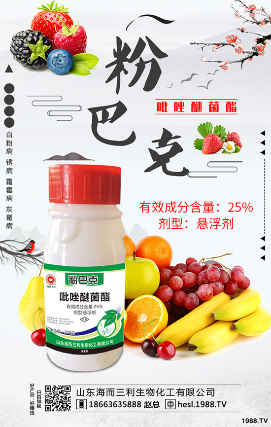 2020年蘆筍種植前景怎么樣？蘆筍如何種植？