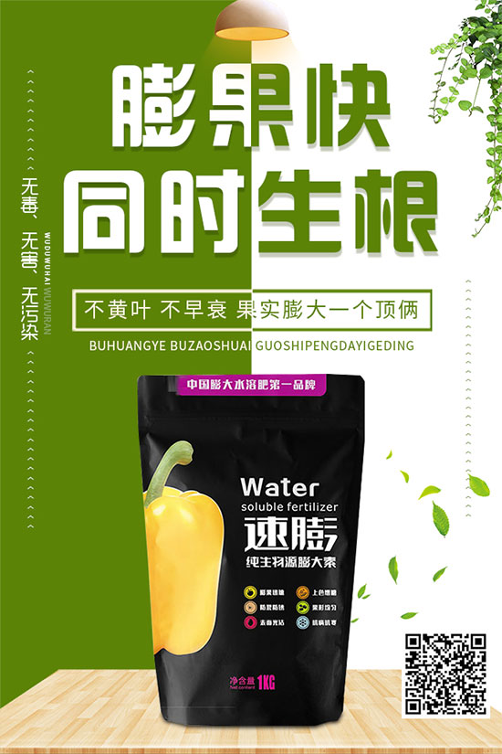 白菜霜霉病是如何引起的？有哪些危害？白菜霜霉病的預防措施