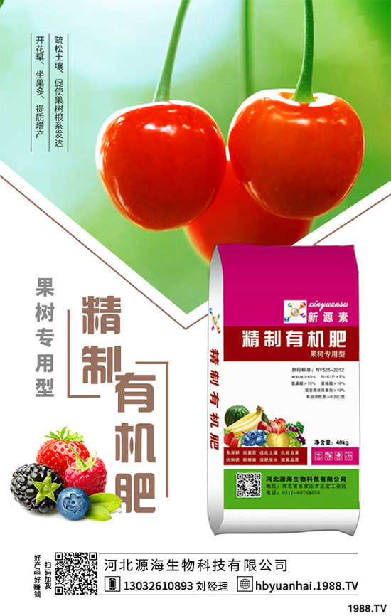 2020年香菇種植前景如何？2020年香菇種植賺錢嗎？