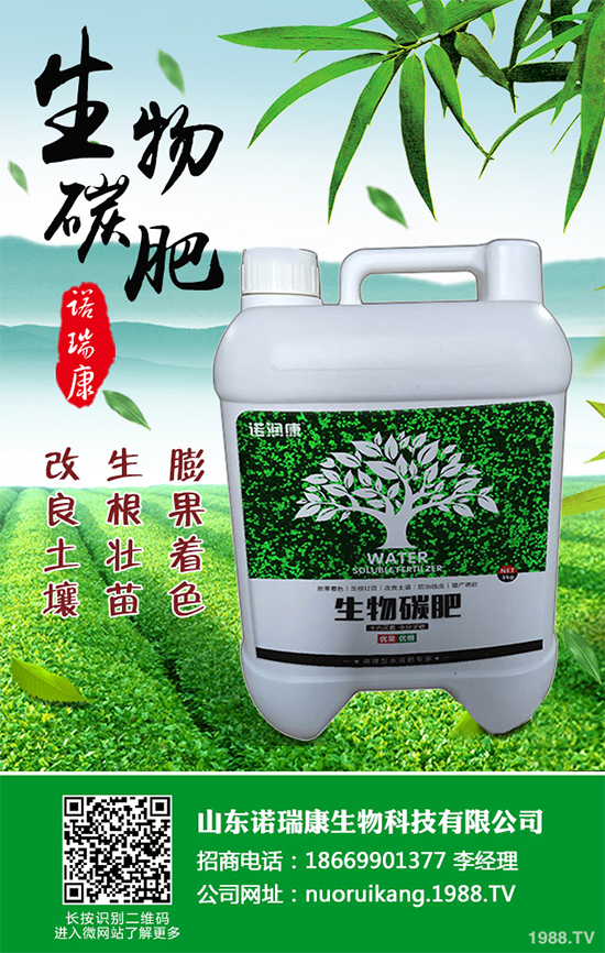 冬茬油麥菜該怎么種？掌握這幾點，輕松種出油麥菜！