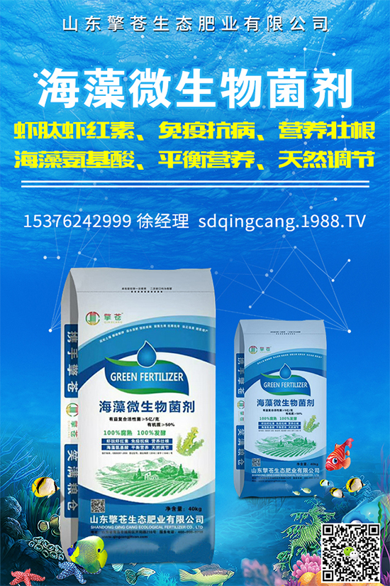 油麥菜霜霉病有哪些危害癥狀？有哪些表現(xiàn)？油麥菜霜霉病的防治措施