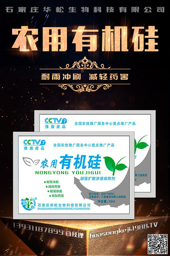 芹菜空心的原因是什么，如何預(yù)防芹菜空心？