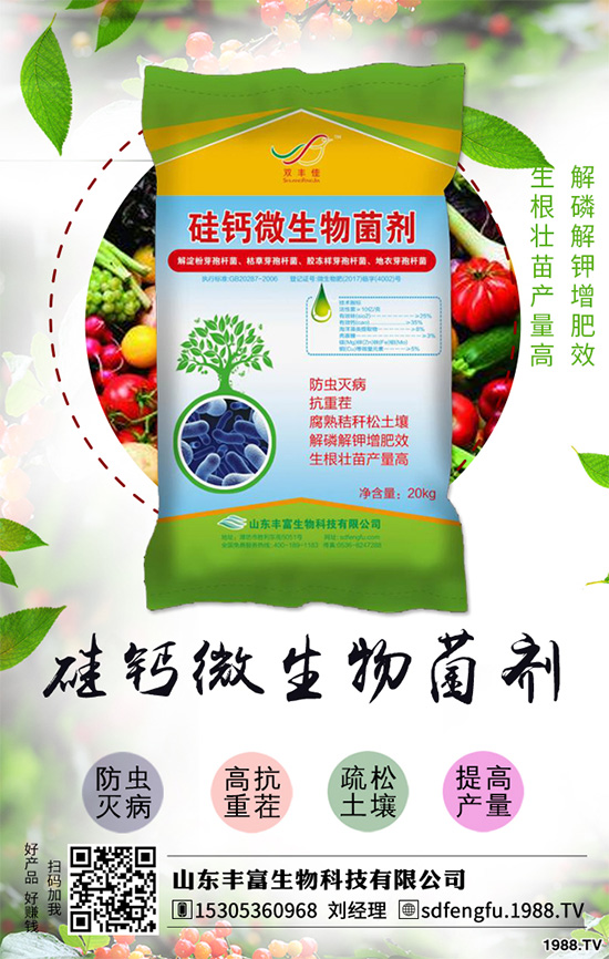 辣椒落葉是什么原因？辣椒落葉如何防治？