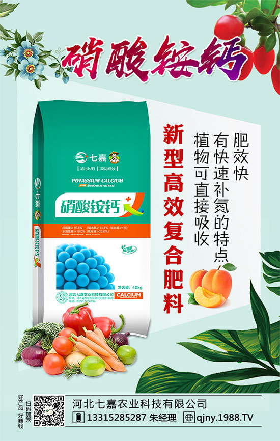 核桃黑斑病怎么辦？核桃黑斑病的癥狀及防治方法