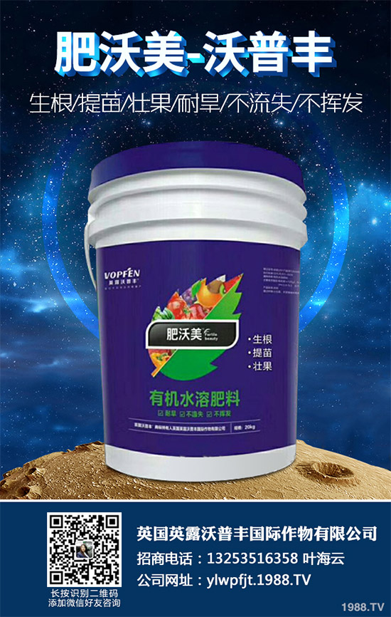     說起油麥菜，相信很多朋友都喜歡吃，不論是炒著吃，還是燙著吃油麥菜都有不一樣的風味，油麥菜是我們常見的的蔬菜之一，油麥菜的營養(yǎng)價值略高于生菜，而遠遠優(yōu)于萵筍。那么，油麥菜的營養(yǎng)價值有哪些？吃油麥菜有哪些好處呢？