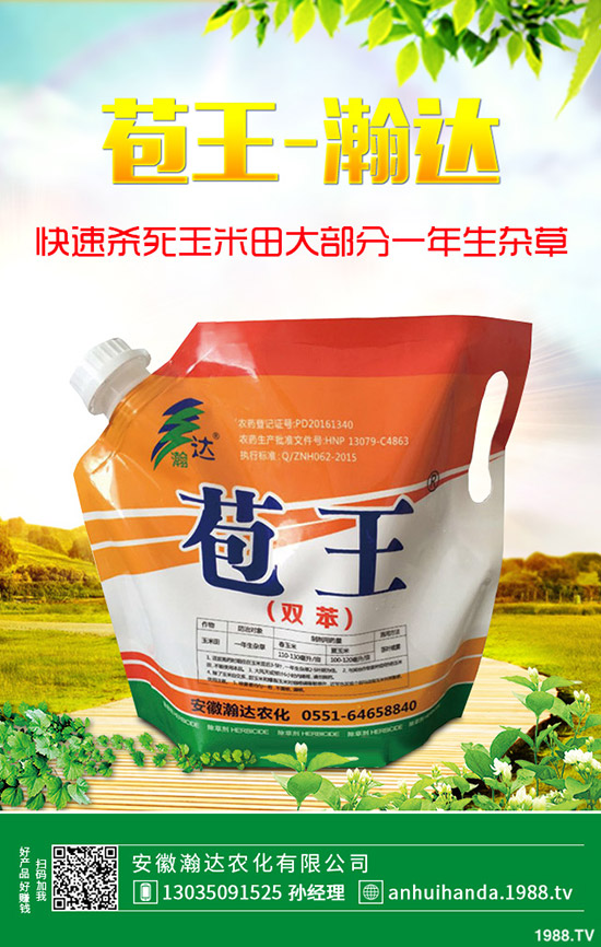 早春韭菜怎么施肥？韭菜施肥方法和注意事項！