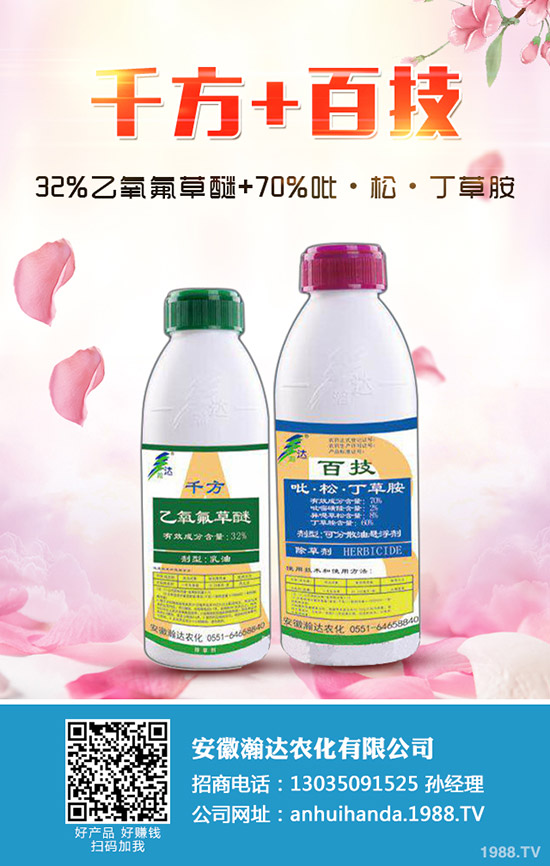 冬季馬鈴薯怎么種？冬季馬鈴薯栽培要點(diǎn)！