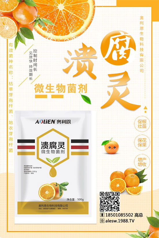 甘蔗什么時候種？甘蔗種植技術(shù)及種植條件