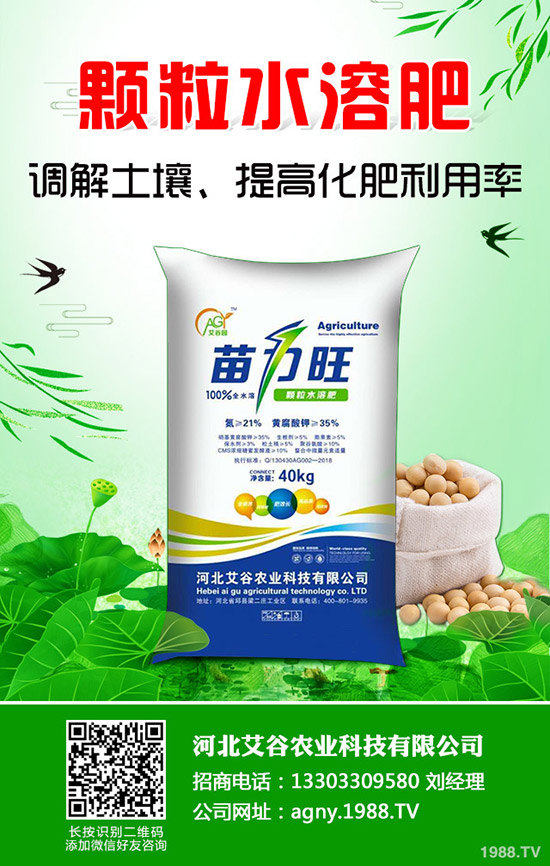 大蒜灰霉病怎樣防治，大蒜灰霉病的癥狀及防治！