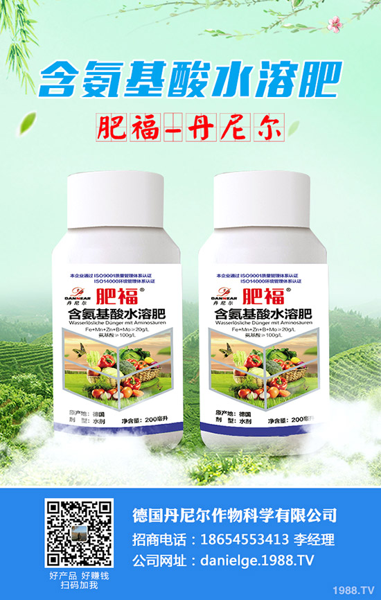 柚子的功效與作用，柚子的挑選方法！